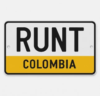 Consultar RUNT por PLACA 🚗 en Colombia 【2025】Ver Multas y SOAT